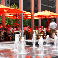 Table 31 Plaza Cafe 